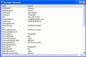 Borrower Summary dialog